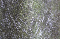 Riverhead fibreglass roof work